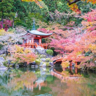 Le rituel du porte-monnaie